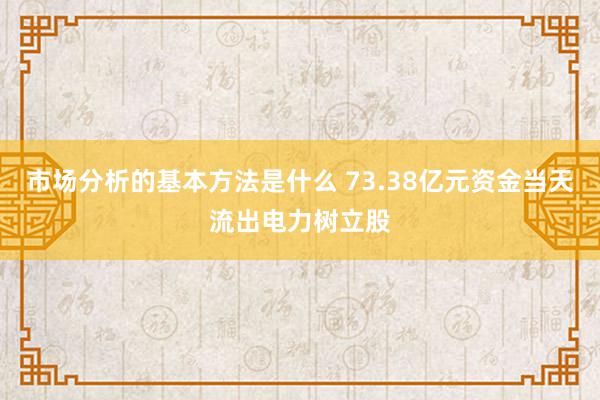 市场分析的基本方法是什么 73.38亿元资金当天流出电力树立股