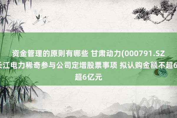 资金管理的原则有哪些 甘肃动力(000791.SZ)：长江电力稀奇参与公司定增股票事项 拟认购金额不超6亿元