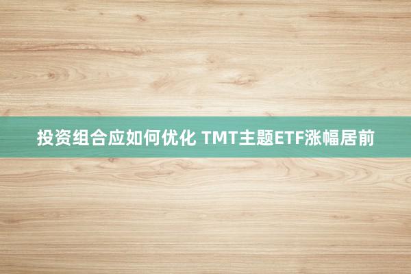 投资组合应如何优化 TMT主题ETF涨幅居前