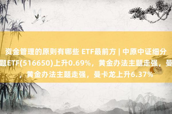 资金管理的原则有哪些 ETF最前方 | 中原中证细分有色金属产业主题ETF(516650)上升0.69%，黄金办法主题走强，曼卡龙上升6.37%