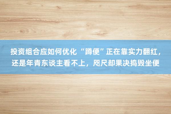 投资组合应如何优化 “蹲便”正在靠实力翻红，还是年青东谈主看不上，咫尺却果决捣毁坐便