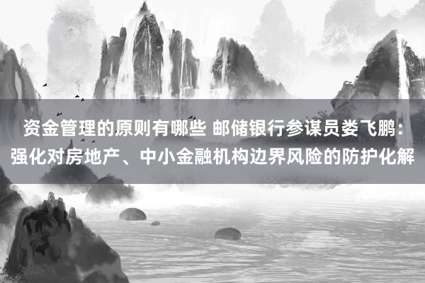 资金管理的原则有哪些 邮储银行参谋员娄飞鹏：强化对房地产、中小金融机构边界风险的防护化解