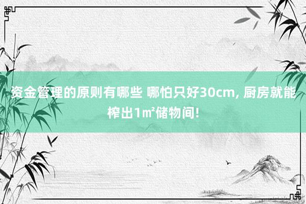 资金管理的原则有哪些 哪怕只好30cm, 厨房就能榨出1㎡储物间!