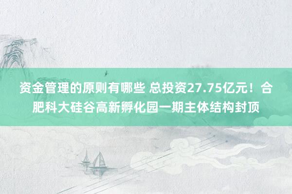 资金管理的原则有哪些 总投资27.75亿元！合肥科大硅谷高新孵化园一期主体结构封顶