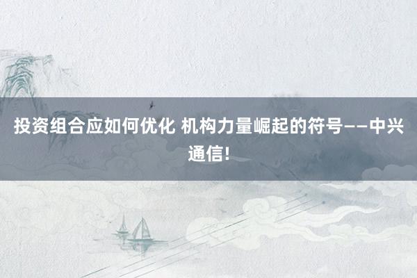 投资组合应如何优化 机构力量崛起的符号——中兴通信!