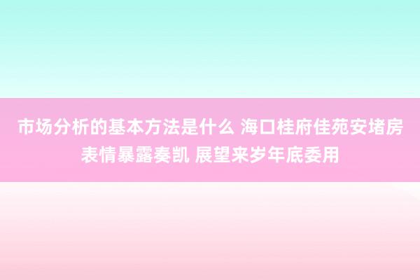 市场分析的基本方法是什么 海口桂府佳苑安堵房表情暴露奏凯 展望来岁年底委用