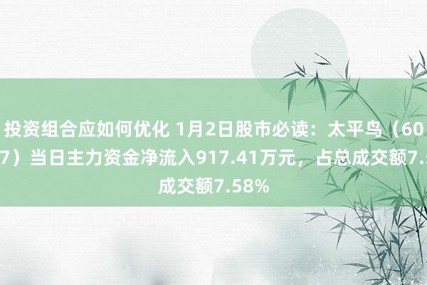 投资组合应如何优化 1月2日股市必读：太平鸟（603877）当日主力资金净流入917.41万元，占总成交额7.58%