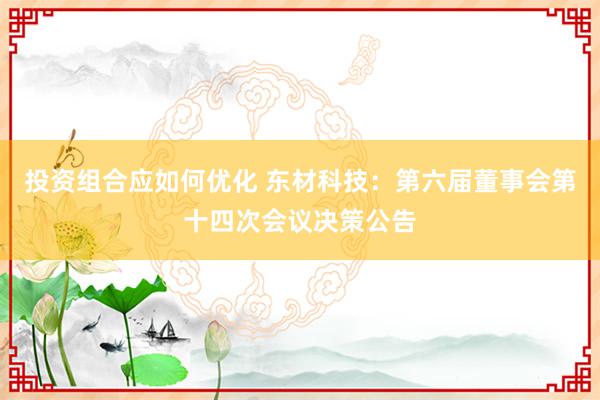 投资组合应如何优化 东材科技：第六届董事会第十四次会议决策公告