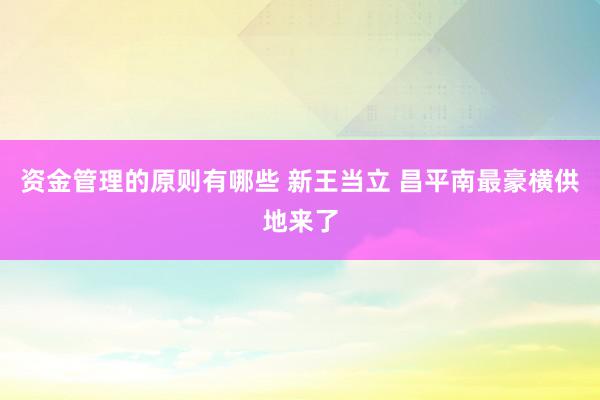 资金管理的原则有哪些 新王当立 昌平南最豪横供地来了