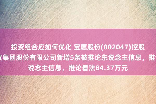 投资组合应如何优化 宝鹰股份(002047)控股的深圳市宝鹰成就集团股份有限公司新增5条被推论东说念主信息，推论看法84.37万元