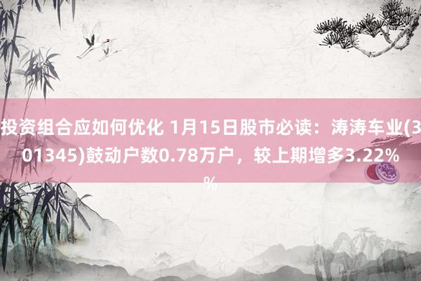 投资组合应如何优化 1月15日股市必读：涛涛车业(301345)鼓动户数0.78万户，较上期增多3.22%