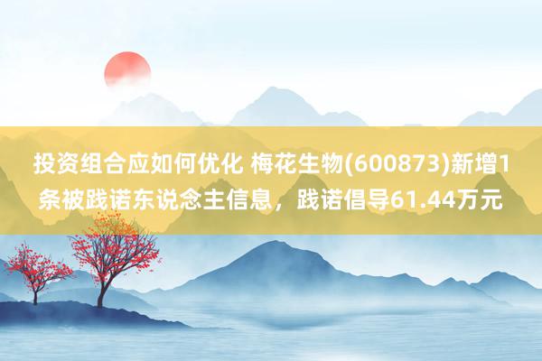 投资组合应如何优化 梅花生物(600873)新增1条被践诺东说念主信息，践诺倡导61.44万元