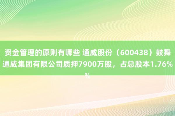 资金管理的原则有哪些 通威股份（600438）鼓舞通威集团有限公司质押7900万股，占总股本1.76%