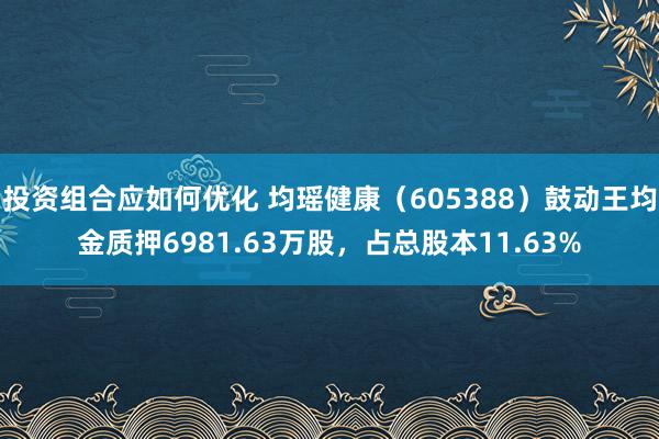 投资组合应如何优化 均瑶健康（605388）鼓动王均金质押6981.63万股，占总股本11.63%