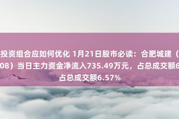 投资组合应如何优化 1月21日股市必读：合肥城建（002208）当日主力资金净流入735.49万元，占总成交额6.57%