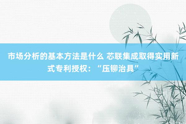 市场分析的基本方法是什么 芯联集成取得实用新式专利授权：“压铆治具”