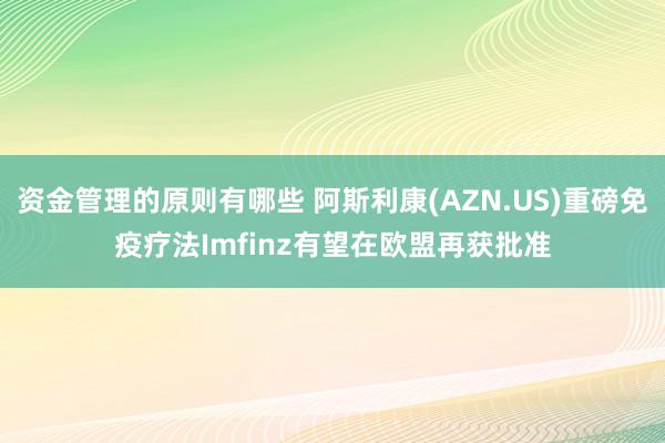 资金管理的原则有哪些 阿斯利康(AZN.US)重磅免疫疗法Imfinz有望在欧盟再获批准