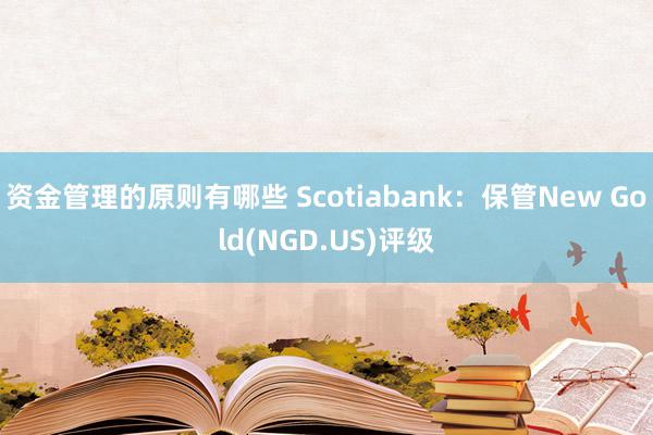 资金管理的原则有哪些 Scotiabank：保管New Gold(NGD.US)评级