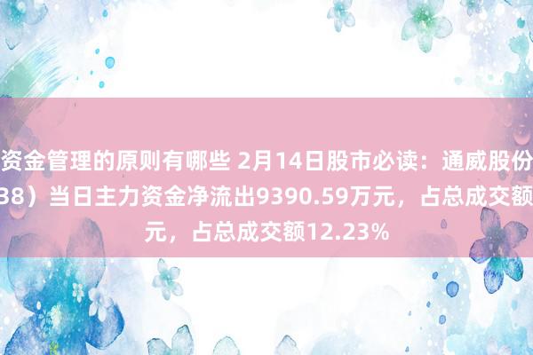 资金管理的原则有哪些 2月14日股市必读：通威股份（600438）当日主力资金净流出9390.59万元，占总成交额12.23%