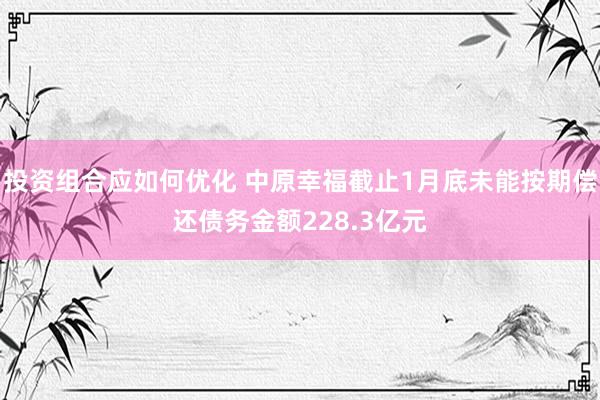 投资组合应如何优化 中原幸福截止1月底未能按期偿还债务金额228.3亿元