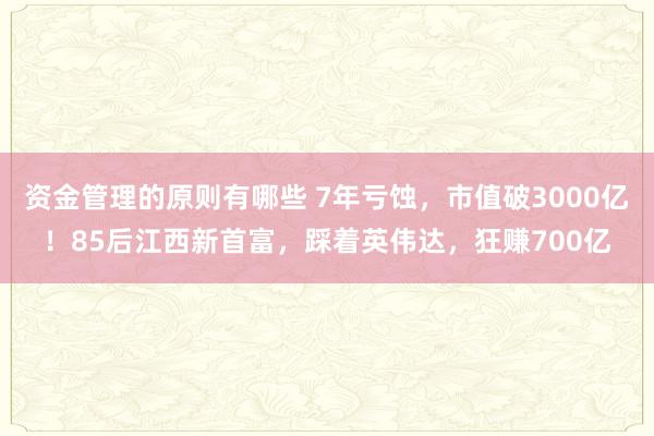 资金管理的原则有哪些 7年亏蚀，市值破3000亿！85后江西新首富，踩着英伟达，狂赚700亿