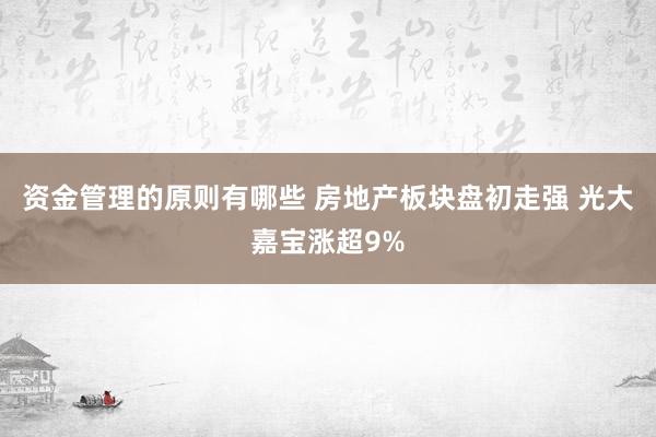 资金管理的原则有哪些 房地产板块盘初走强 光大嘉宝涨超9%