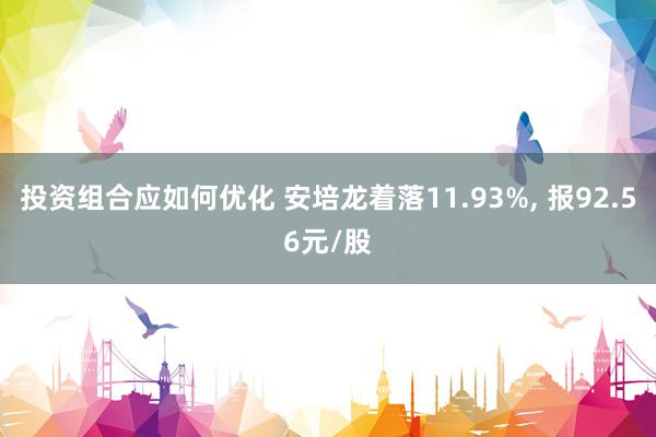 投资组合应如何优化 安培龙着落11.93%, 报92.56元/股