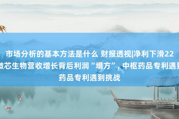 市场分析的基本方法是什么 财报透视|净利下滑229%! 微芯生物营收增长背后利润“塌方”, 中枢药品专利遇到挑战