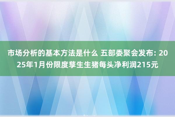 市场分析的基本方法是什么 五部委聚会发布: 2025年1月份限度孳生生猪每头净利润215元