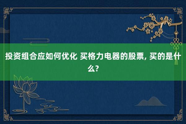 投资组合应如何优化 买格力电器的股票, 买的是什么?