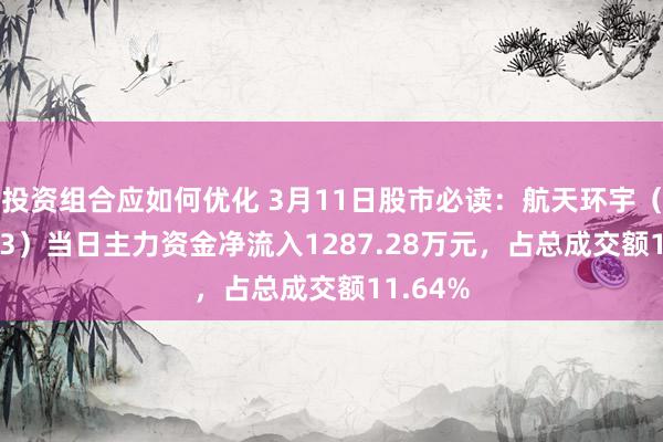 投资组合应如何优化 3月11日股市必读：航天环宇（688523）当日主力资金净流入1287.28万元，占总成交额11.64%